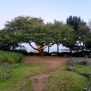 스타벅스기장임랑점 | 동화 속 한 장면 같은 임랑해변, 스타벅스 기장임랑점 후기