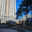 천년나무3단지아파트경로당 이미지