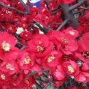 스트레스와 정신건강 이미지