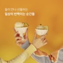 주식회사 스노우피그 | 저칼로리아이스크림 비교 라라스윗/스키니피그/헤일로탑/마이비밀/마이노멀/그리고 pick 유기농...