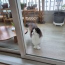 못난이꽈배기 금호점 이미지