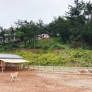 매정목장 이미지