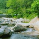 동산계곡식당 밑 주차장 | 대구 근교 계곡 군위 동산계곡 주차 나들이 추천