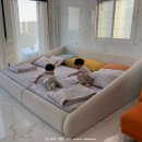 포항 포인트 오션 풀빌라 펜션 이미지