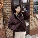 필413 | 민니 숏패딩 브랜드 RAIVE 레이브 벨벳 덕다운 여자 패딩 겨울 코디