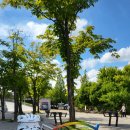 경륜장 | 광명 스피돔 경륜장 베팅방법 및 후기