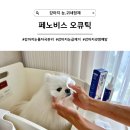 오큐 - 동작구 서달로14길 40 | [강아지 눈귀세정제] 눈물자국에 효과 좋은 페노비스 오큐틱(2년 실사용 후기)
