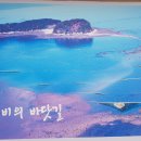 "보령의 '무창포' 및 '대천해변'을 찾아서"＜2021.04.16(금)＞ 이미지