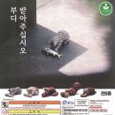 피규어 인형뽑기 이미지