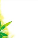 죽편 / 서정춘 이미지