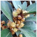 소금밭 교차로 4 이미지