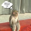 돈페테리아 | 구질구질하게 청춘에 매달리세요