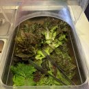 임방울대로L-1 | 광주 월계동맛집 엉터리무한대패 첨단점