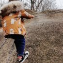 태극태권도체육관 이미지