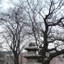 나주북망문 | 나주 북망문 밖 삼층석탑(羅州 北望門 밖 三層石塔).전남