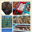 대천항