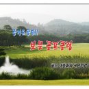 인코스관광개발