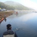 진우낚시터 이미지