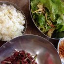 편대장영화식당 Daum카페