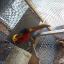 금계농장 이미지