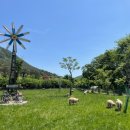 현천농장 이미지