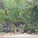 구미여자중학교 Daum카페