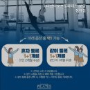 정자역 필라테스 더센터오브필라테스 분당정자점 정자역 필라테스 명소