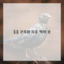 리얼왁싱 - 김포시 | 리얼왁싱