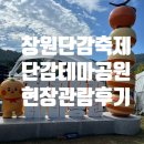 양일농장 | 창원단감축제 창원먹거리 동읍 단감테마공원 관람후기