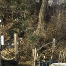 금당중학교 옆 이미지