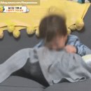 스테이목화