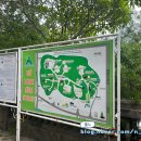 오행약국 이미지