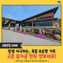 유자골고흥한우 프라자 | 육즙 &amp;숯향 가득, 입안에서 펼쳐지는 유자골 한우 맛보세요!(feat. 유자골 고흥한우 프라자, 분청마루)