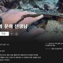 참고자료 - 넷플릭스 다큐멘터리 영화 &#34;My Octopus Teacher&#34; 이미지