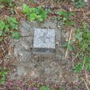 수원산뷔페 이미지