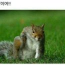 네일로와 - 순천시 대석초등길 16 | 네일로와