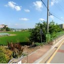 우강초교 이미지