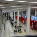 오락실세븐랜드 이미지