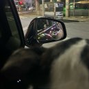 태산3차(아) | 10월