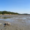 신덕바지락영어조합법인 이미지