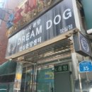 드림독 강아지분양 안심분양센터 잠실점 이미지