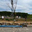 태균농장 이미지