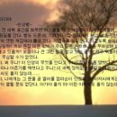 아가야