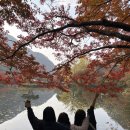 백양사 | 백양사 템플스테이 힐링형 후기, 내장산 단풍 절정 시기