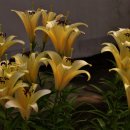 성규축산 이미지