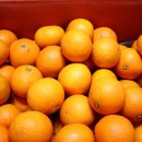 평안농장 이미지