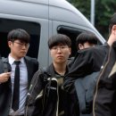 팀라이온 이미지