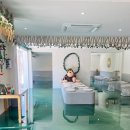 안다랜드 이미지