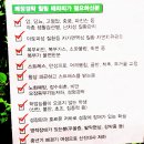 약손월드 테라피