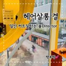 솔헤어 | 일산미용실 헤어살롱결 맞춤모발클리닉 커트맛집 (솔 디렉터님 최고)
